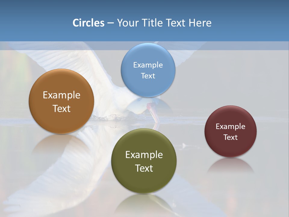 Nature Environment Graceful PowerPoint Template