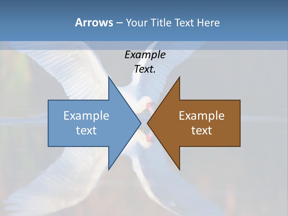 Nature Environment Graceful PowerPoint Template
