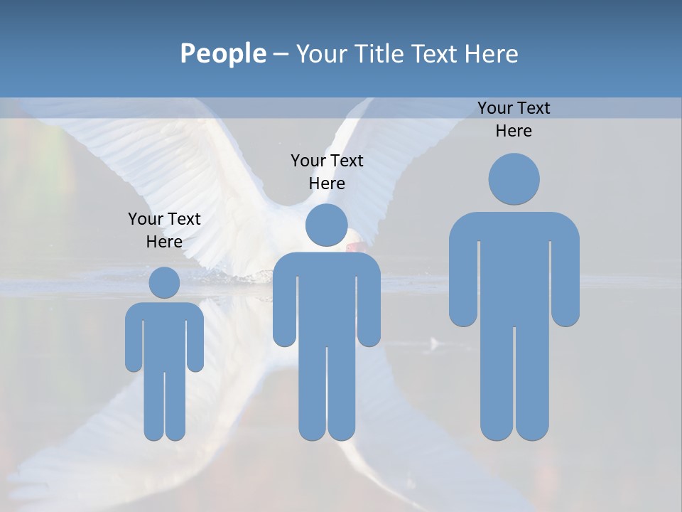 Nature Environment Graceful PowerPoint Template