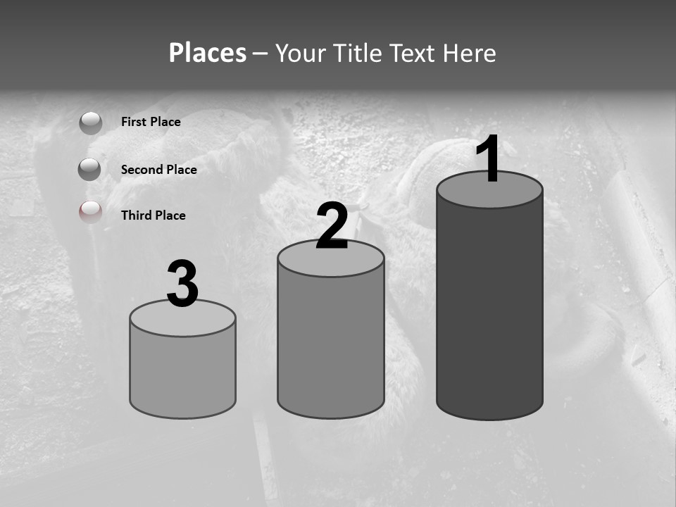 Urban Messy Bear PowerPoint Template