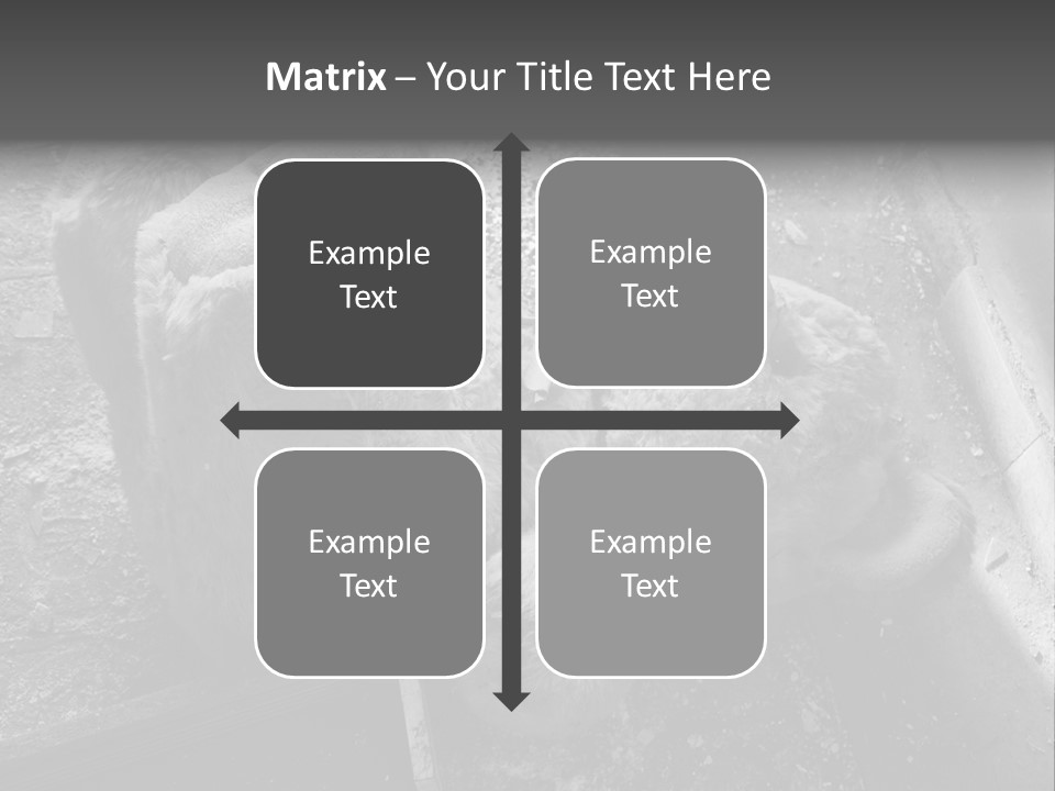 Urban Messy Bear PowerPoint Template