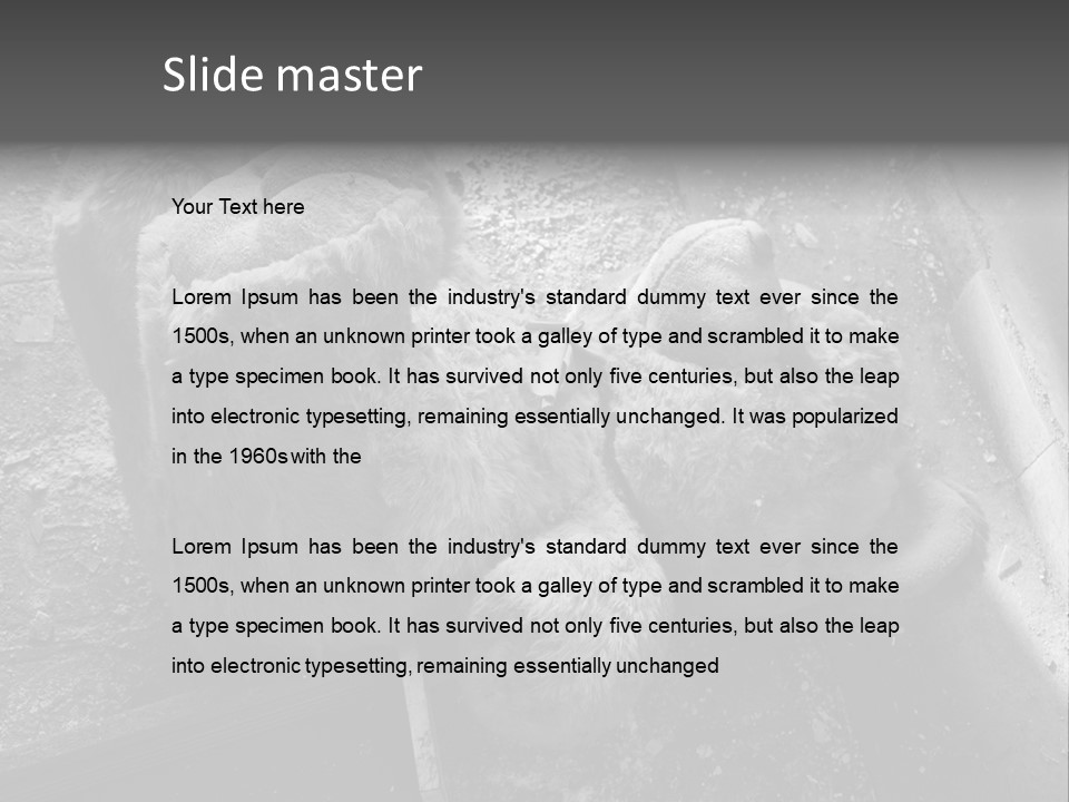 Urban Messy Bear PowerPoint Template