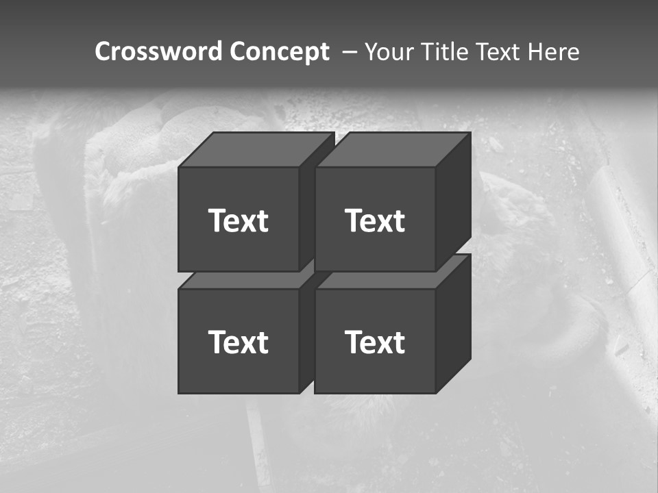 Urban Messy Bear PowerPoint Template