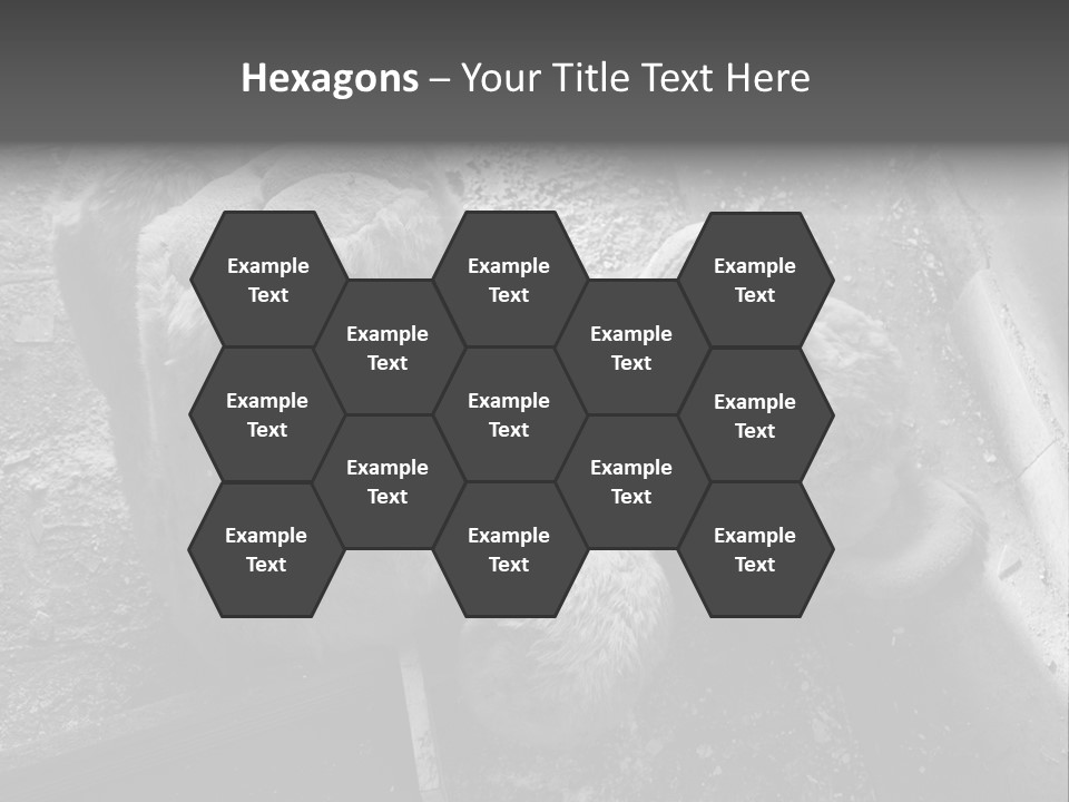 Urban Messy Bear PowerPoint Template