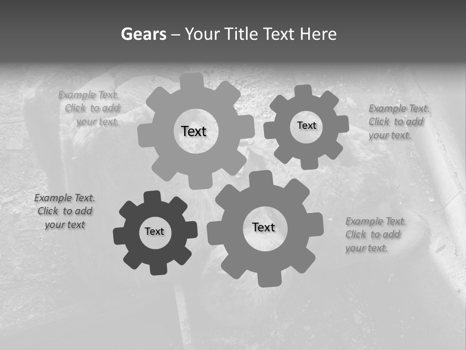 Urban Messy Bear PowerPoint Template