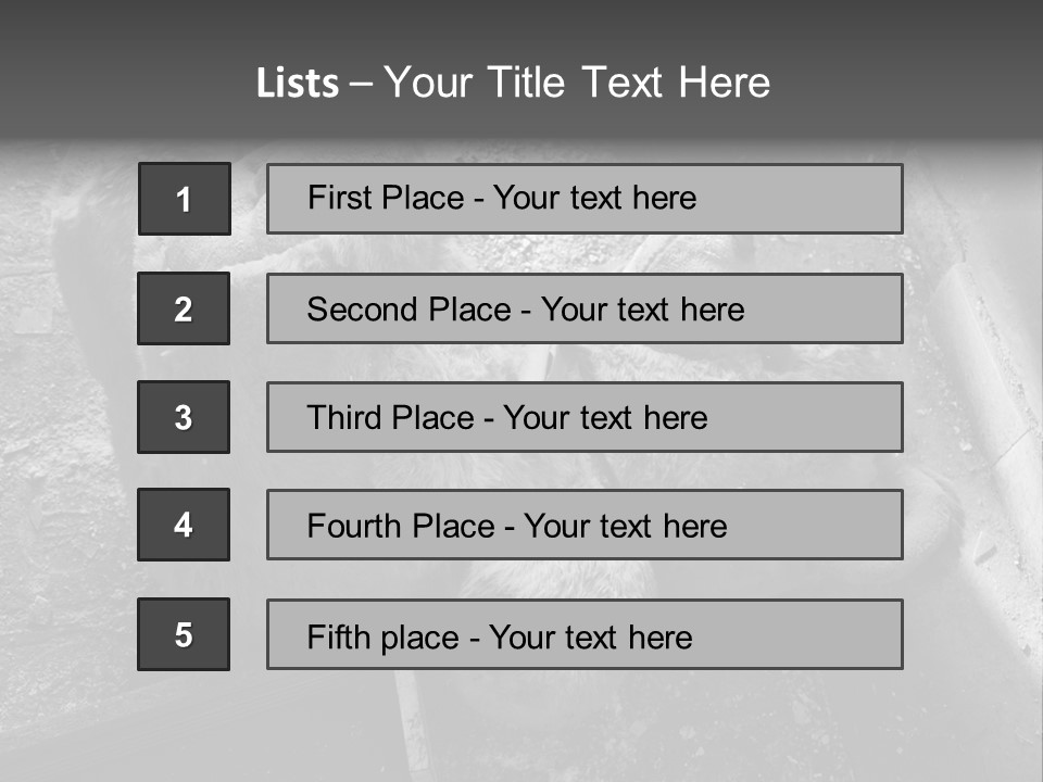 Urban Messy Bear PowerPoint Template