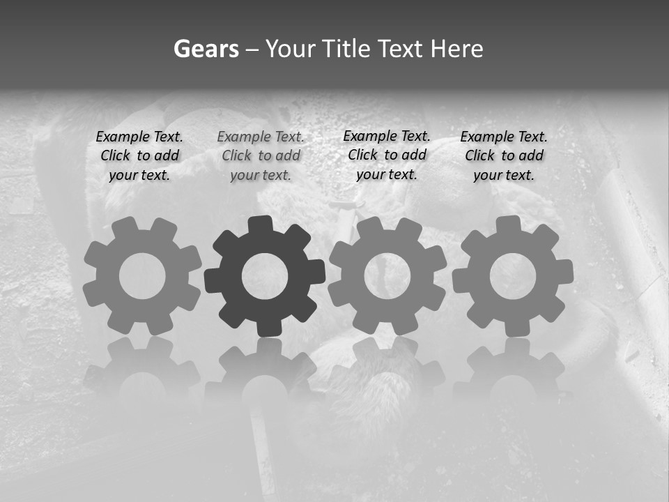 Urban Messy Bear PowerPoint Template