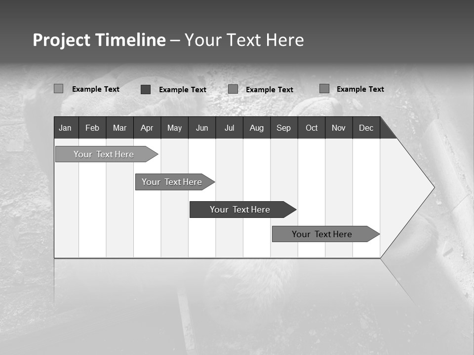 Urban Messy Bear PowerPoint Template