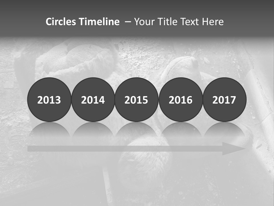 Urban Messy Bear PowerPoint Template