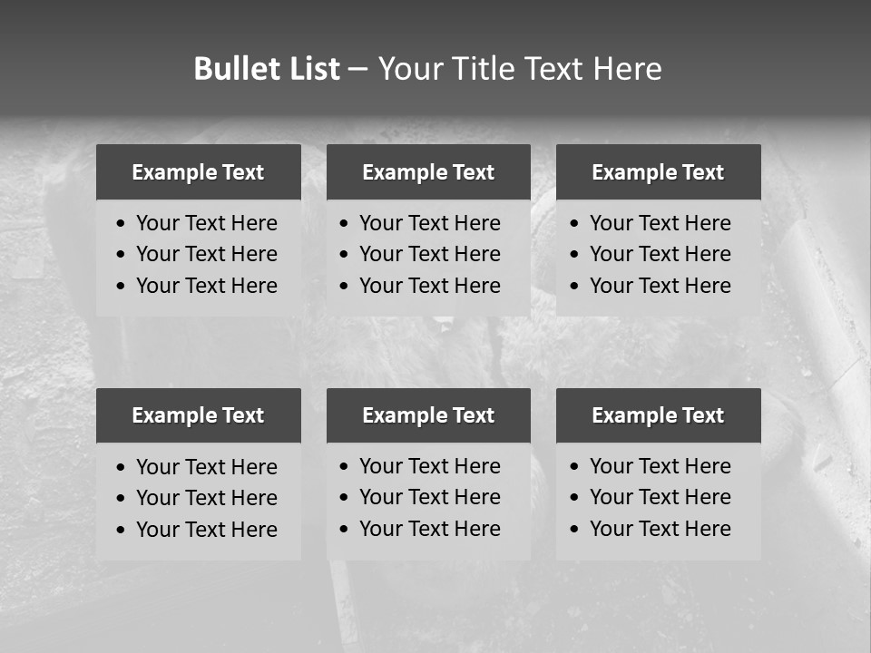 Urban Messy Bear PowerPoint Template