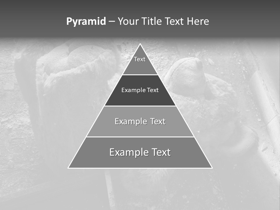 Urban Messy Bear PowerPoint Template