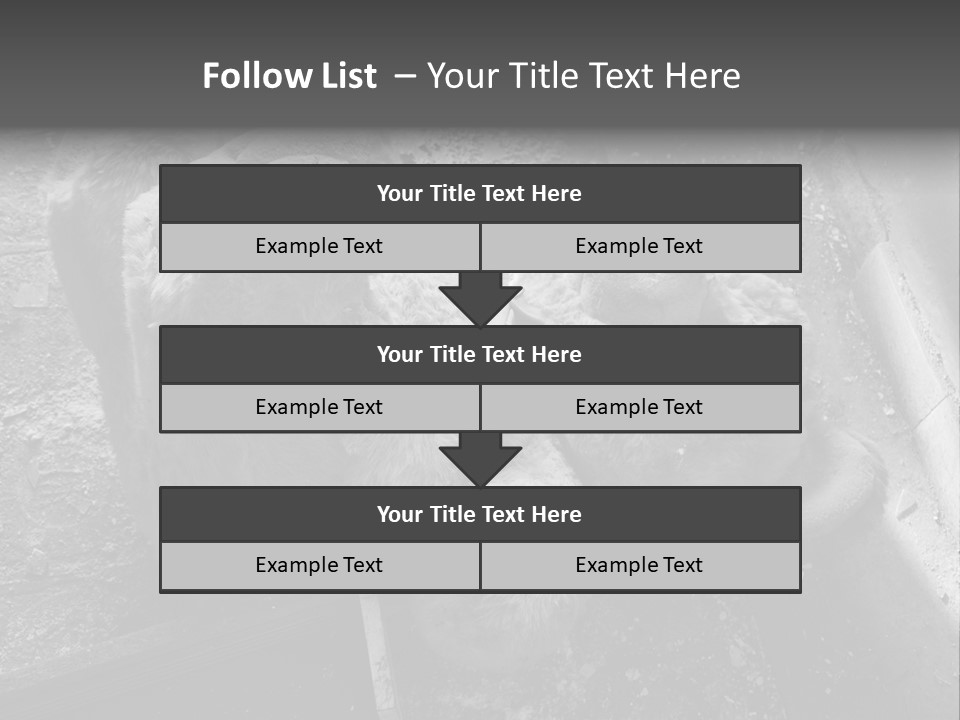 Urban Messy Bear PowerPoint Template