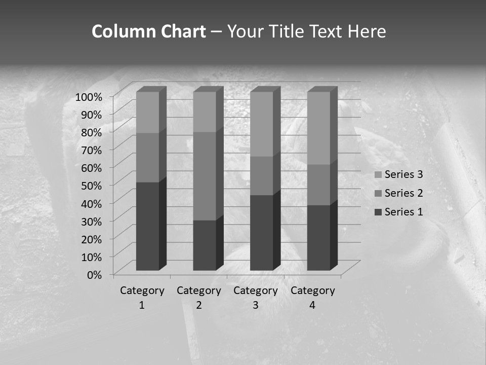 Urban Messy Bear PowerPoint Template