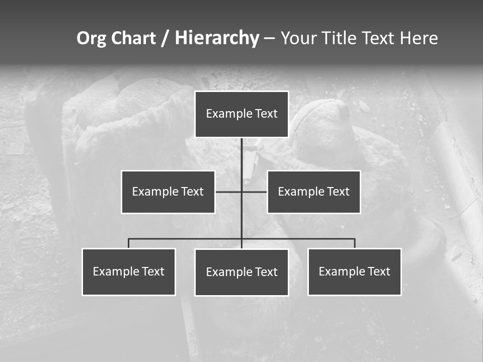 Urban Messy Bear PowerPoint Template