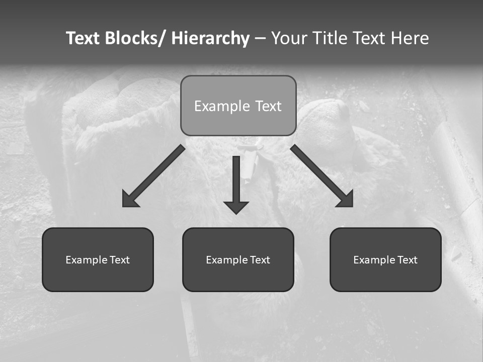Urban Messy Bear PowerPoint Template