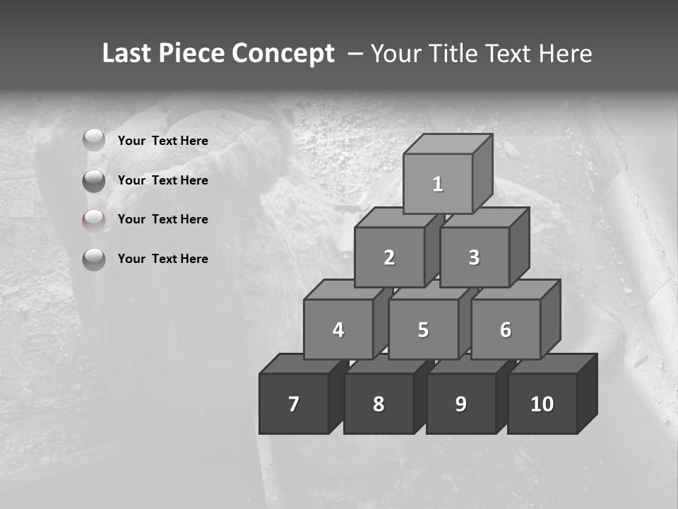 Urban Messy Bear PowerPoint Template