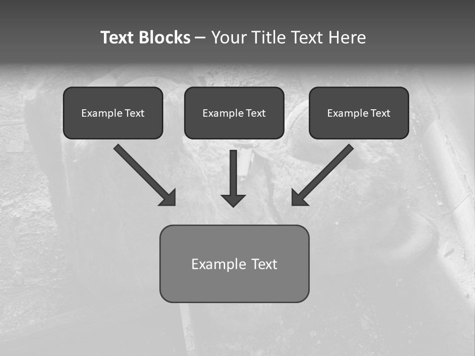 Urban Messy Bear PowerPoint Template