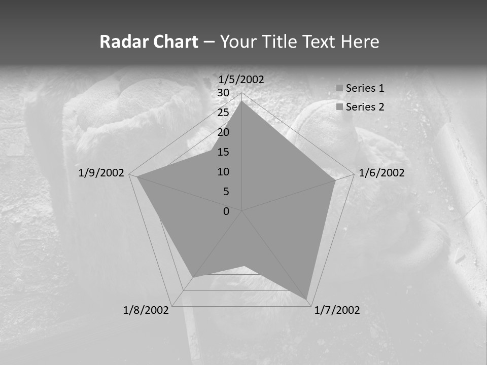 Urban Messy Bear PowerPoint Template