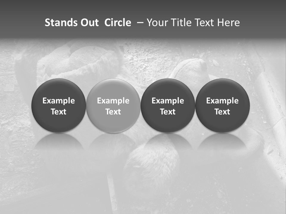 Urban Messy Bear PowerPoint Template