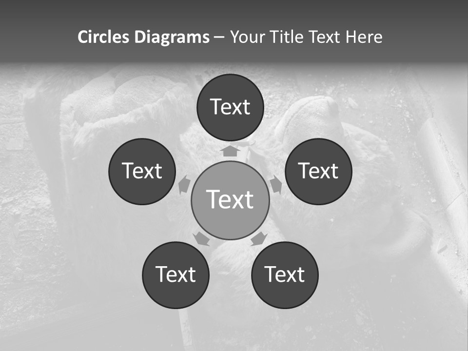 Urban Messy Bear PowerPoint Template