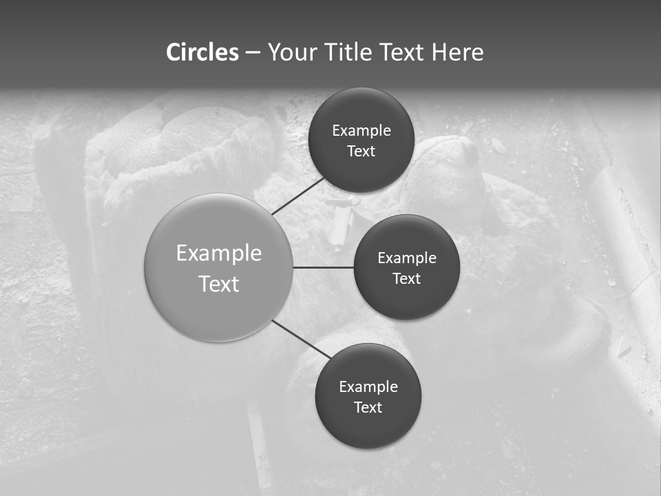 Urban Messy Bear PowerPoint Template