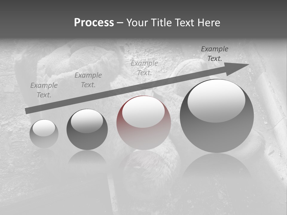 Urban Messy Bear PowerPoint Template