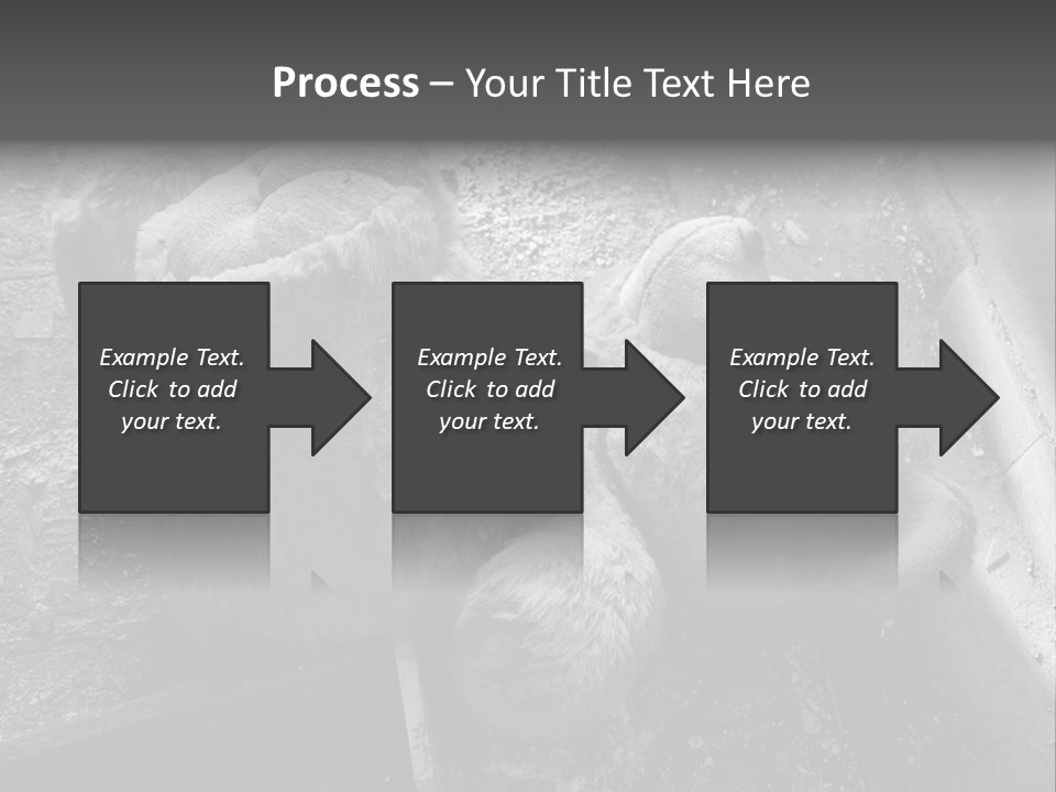 Urban Messy Bear PowerPoint Template