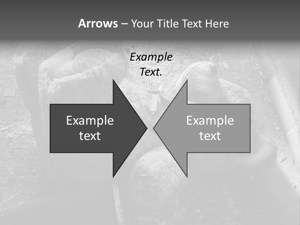 Urban Messy Bear PowerPoint Template