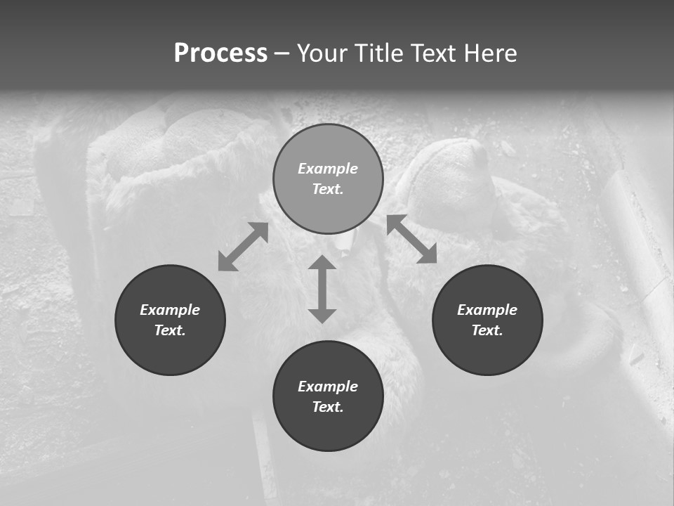 Urban Messy Bear PowerPoint Template