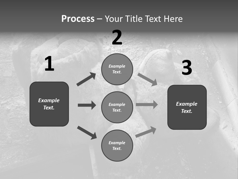 Urban Messy Bear PowerPoint Template