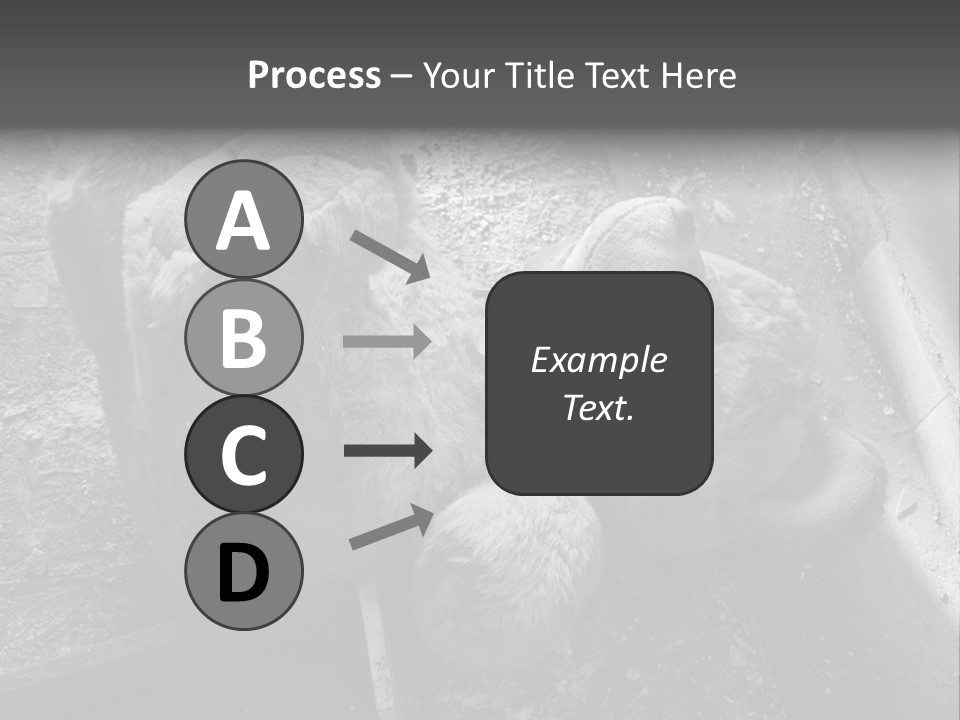 Urban Messy Bear PowerPoint Template