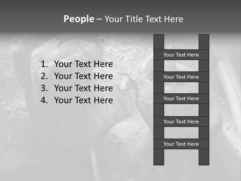 Urban Messy Bear PowerPoint Template