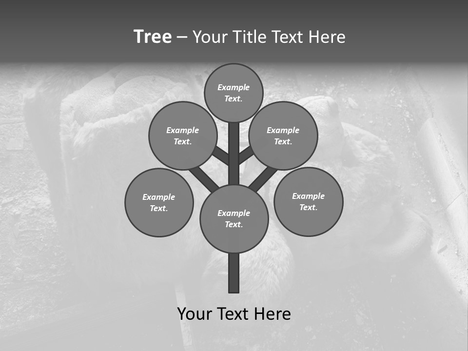 Urban Messy Bear PowerPoint Template