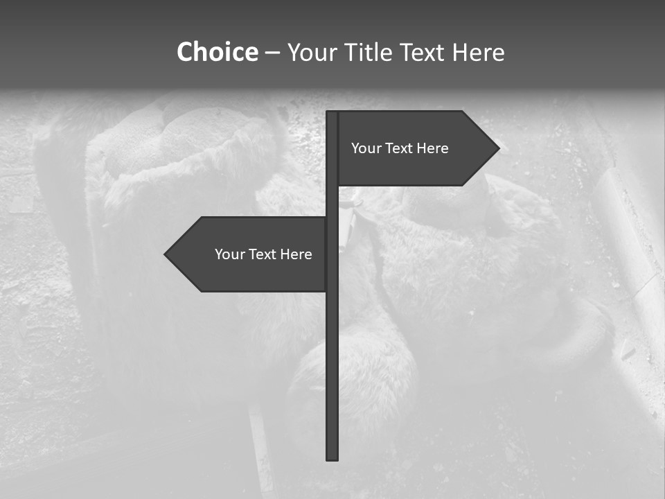 Urban Messy Bear PowerPoint Template