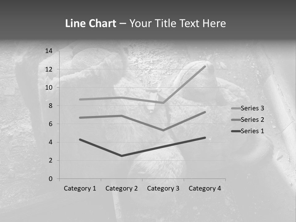 Urban Messy Bear PowerPoint Template