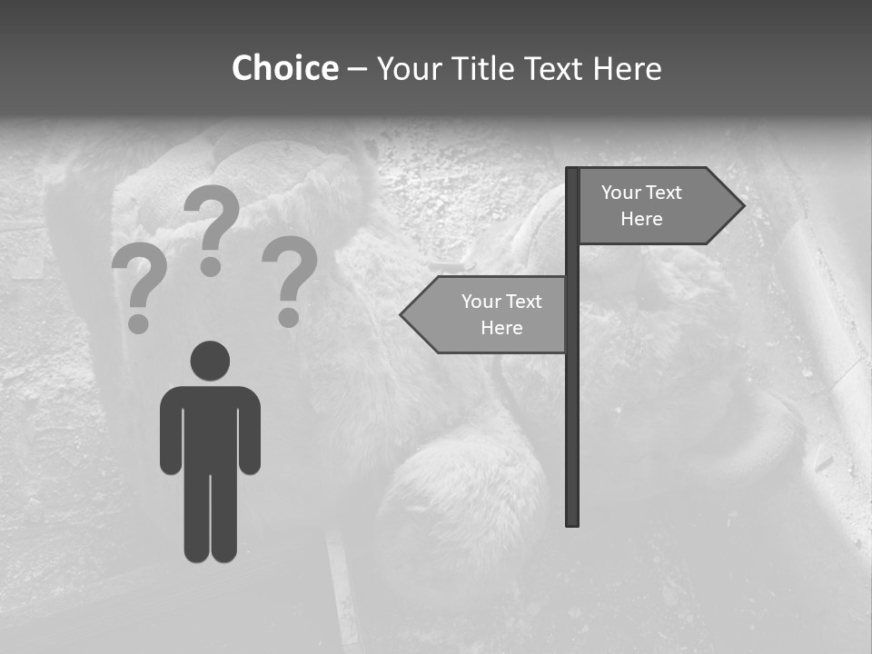 Urban Messy Bear PowerPoint Template