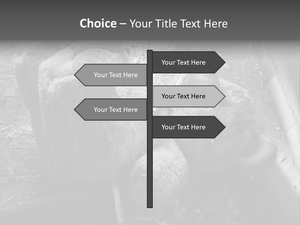 Urban Messy Bear PowerPoint Template