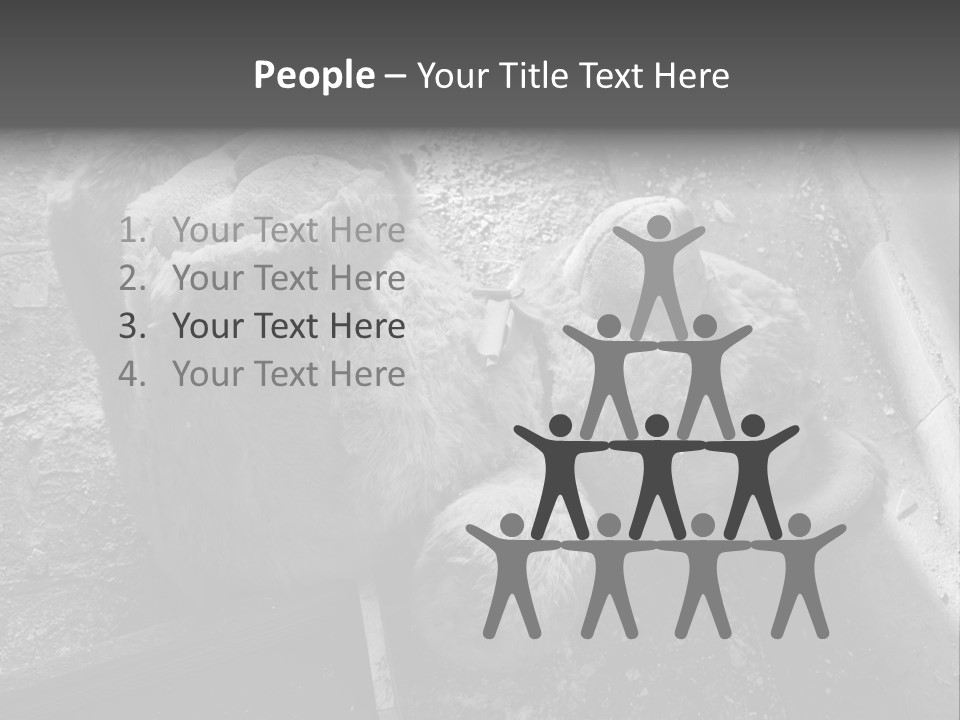 Urban Messy Bear PowerPoint Template