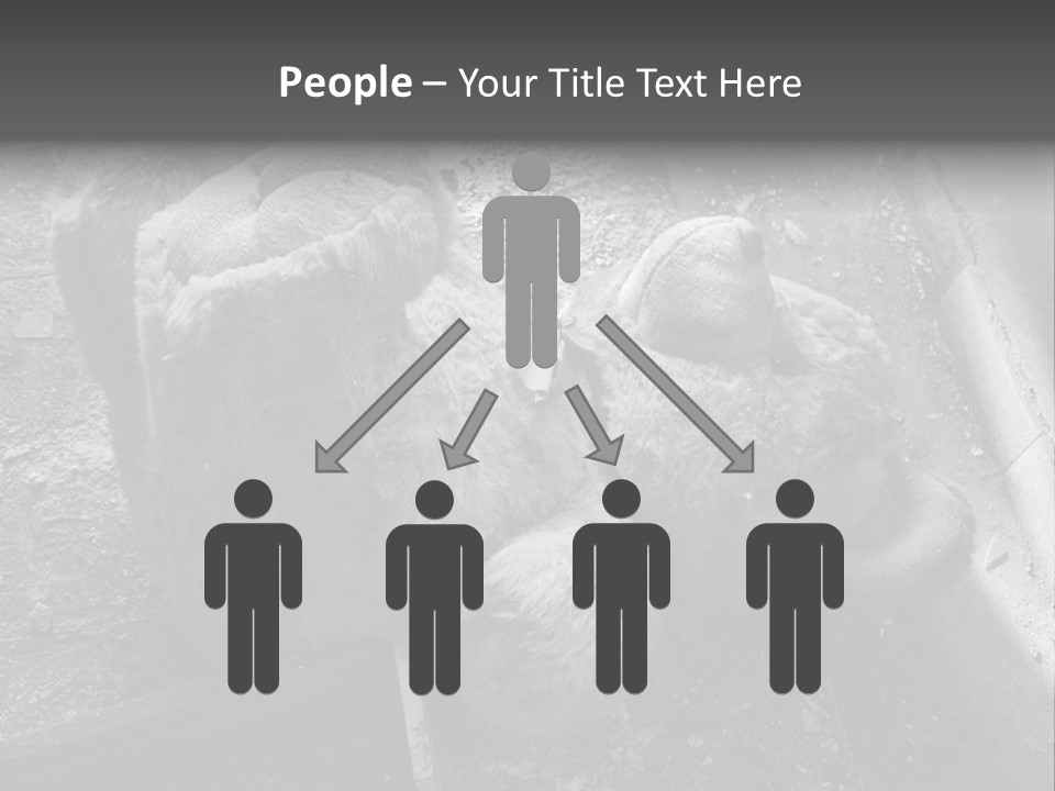 Urban Messy Bear PowerPoint Template