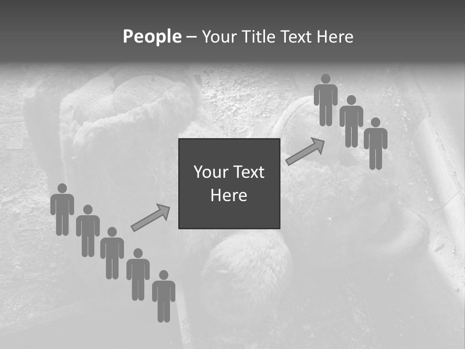 Urban Messy Bear PowerPoint Template