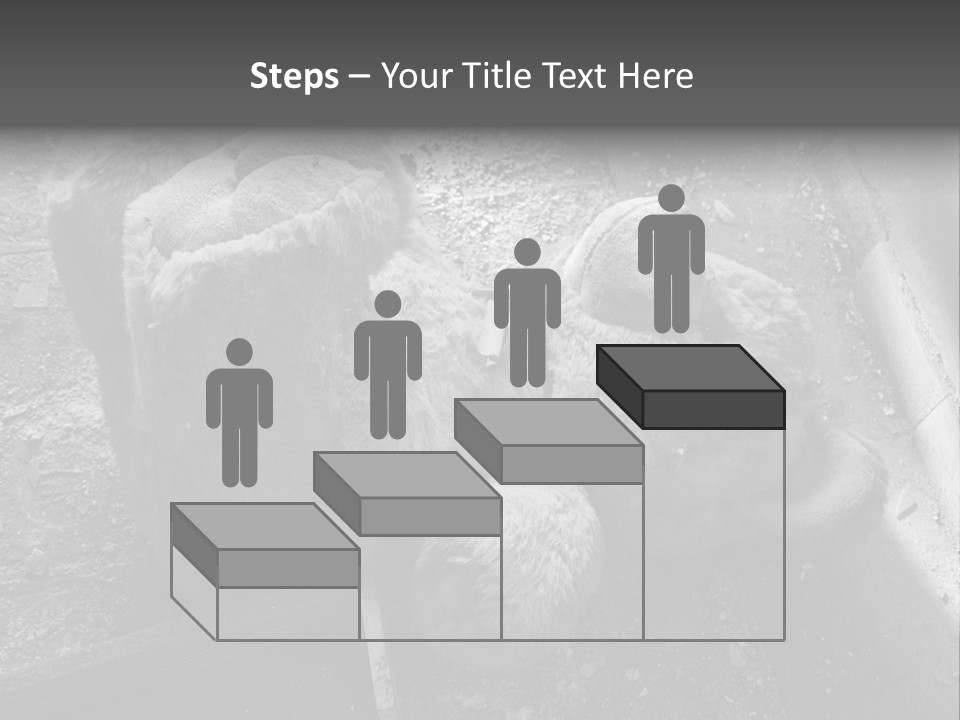 Urban Messy Bear PowerPoint Template