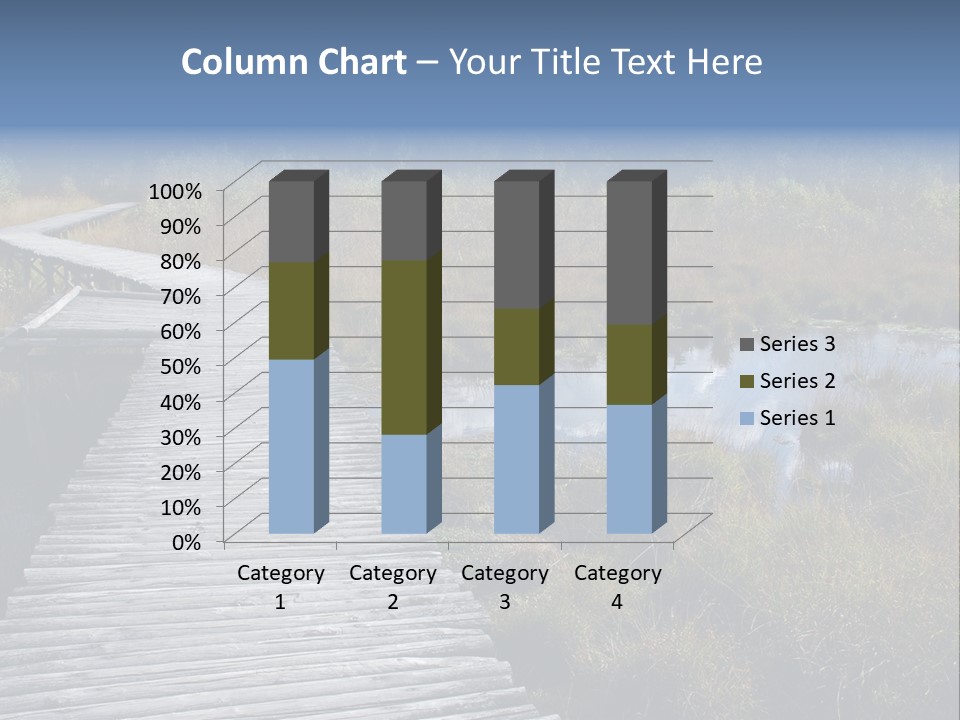 Aim Outdoors Tranquil PowerPoint Template