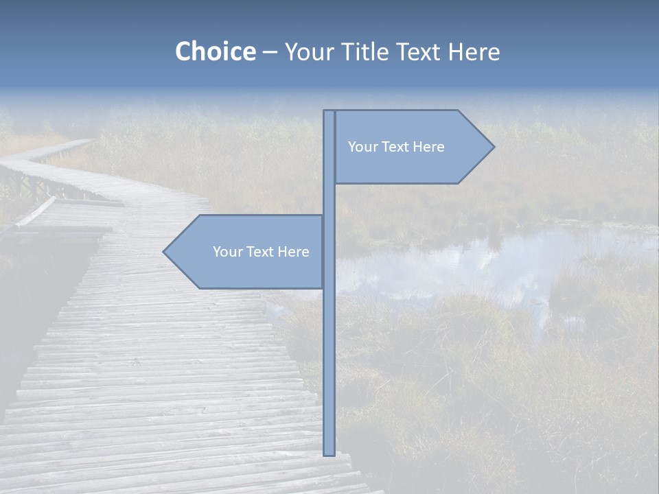 Aim Outdoors Tranquil PowerPoint Template