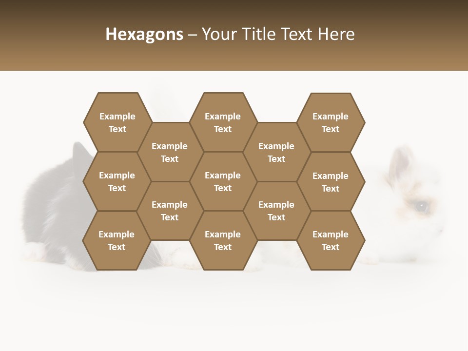 Mother Studio Agriculture PowerPoint Template