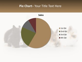 Mother Studio Agriculture PowerPoint Template