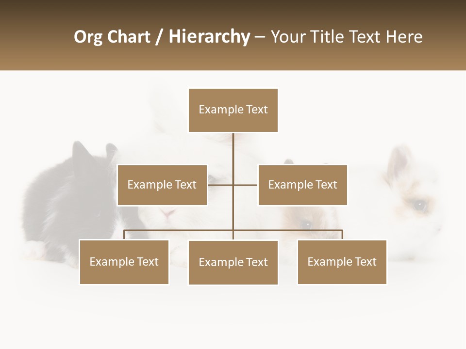 Mother Studio Agriculture PowerPoint Template