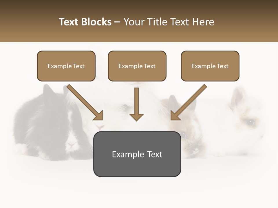 Mother Studio Agriculture PowerPoint Template