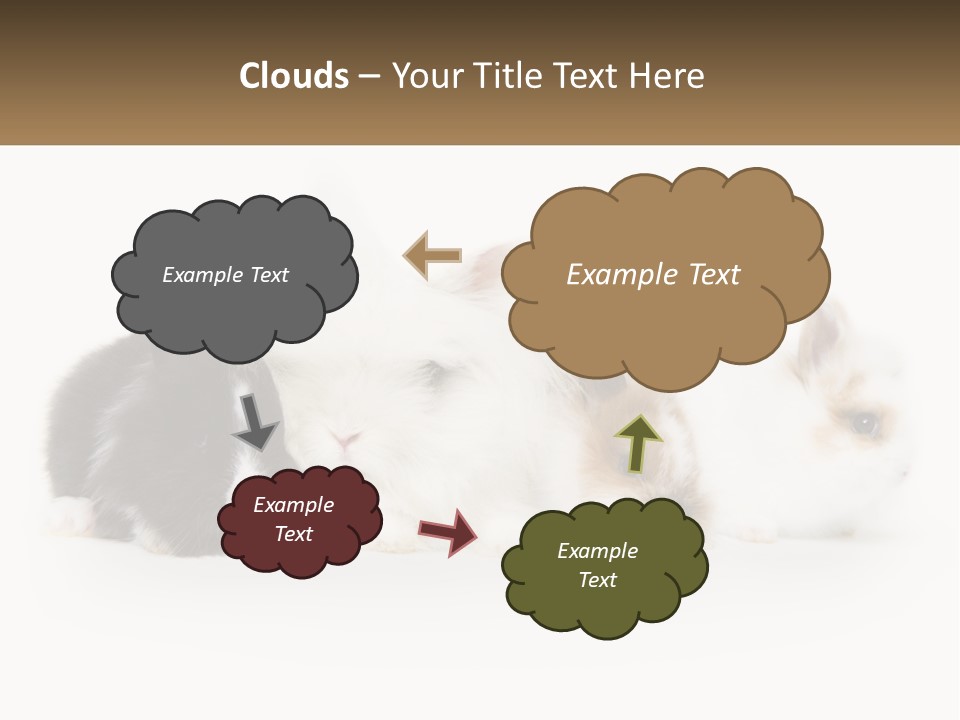 Mother Studio Agriculture PowerPoint Template