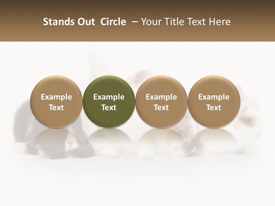 Mother Studio Agriculture PowerPoint Template