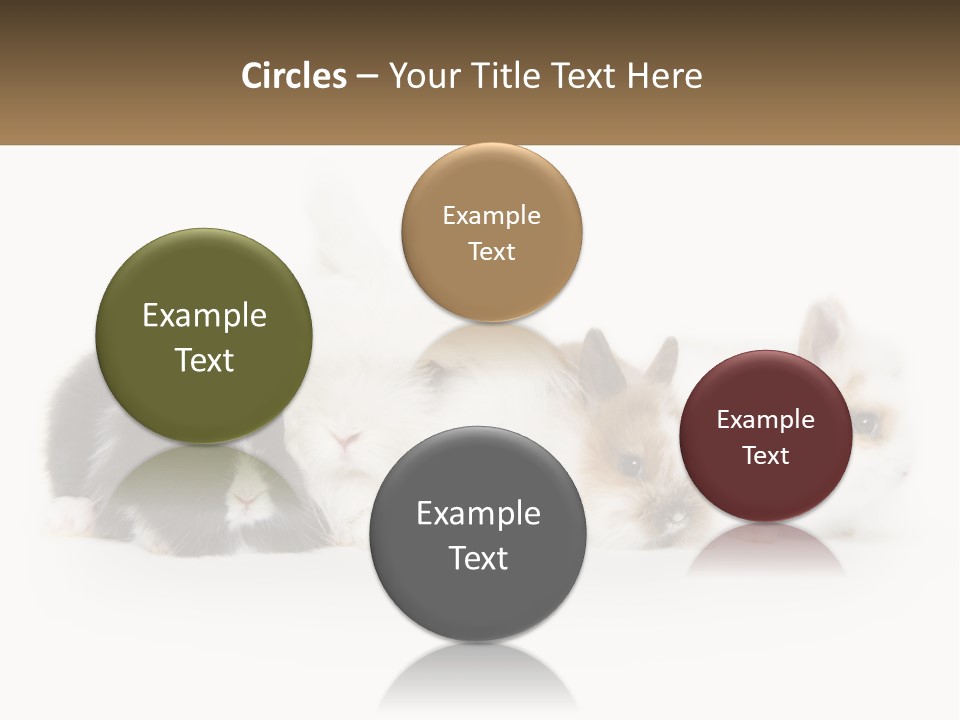 Mother Studio Agriculture PowerPoint Template